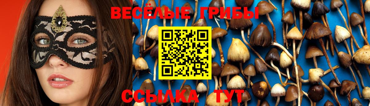 Галлюциногенные грибы GOLDEN TEACHER Сочи